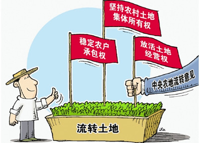 570f127489eed.jpg