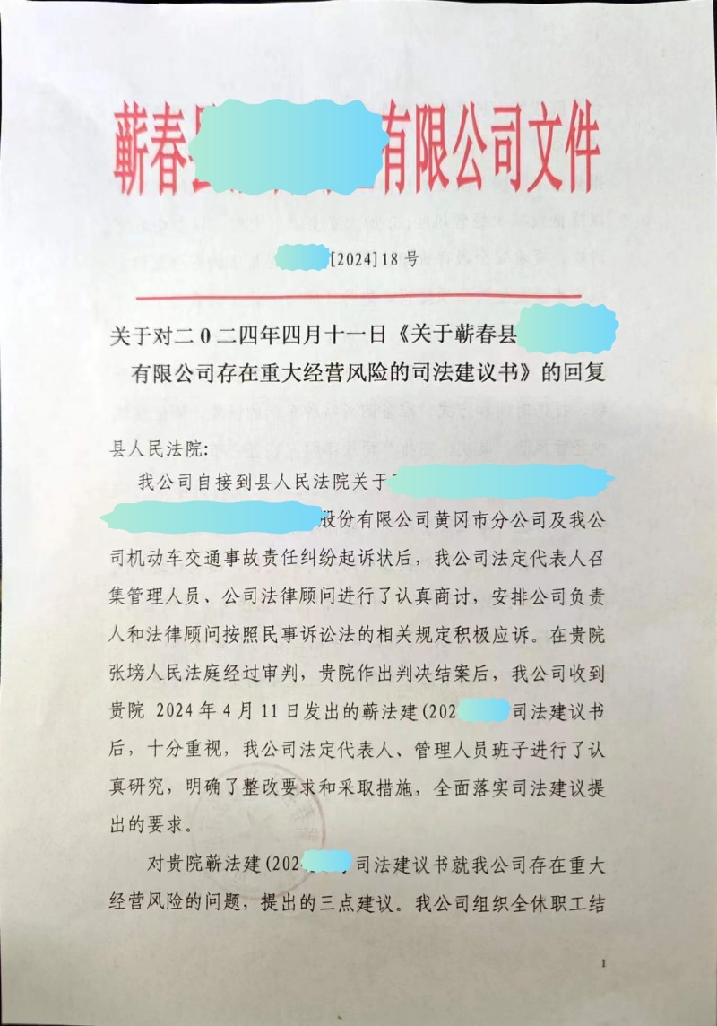 司法建议书-公司_副本_副本.jpg