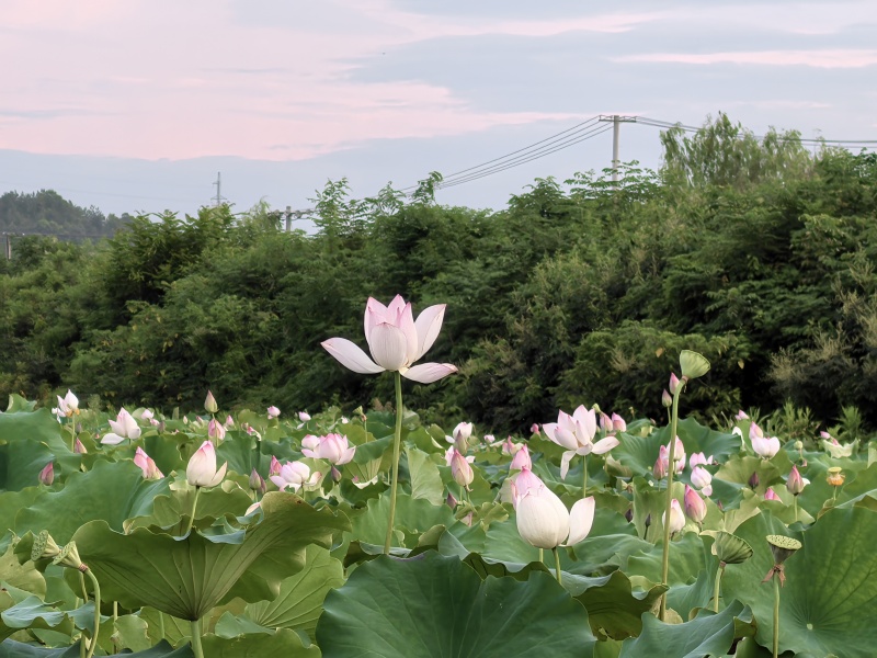 ef9efdf709b3846a9e2877fd33d09c1_副本.jpg